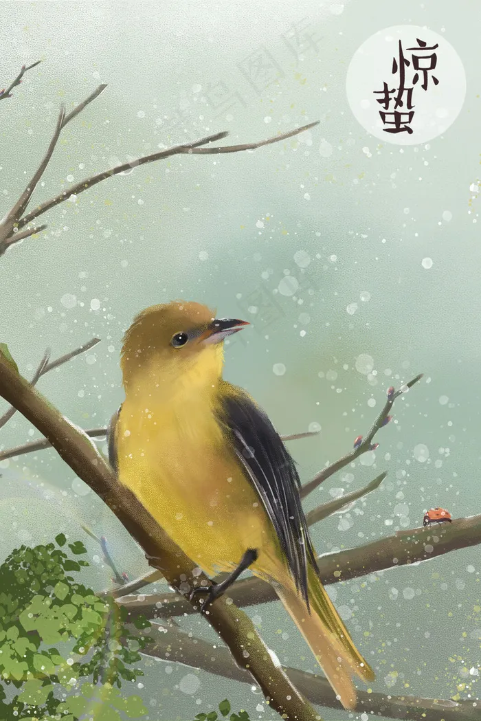 惊蛰-仓庚鸣-黄鹂鸣(3545X5315(DPI:300))psd模版下载