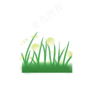 绿色小草黄花