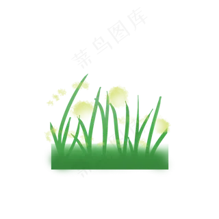 绿色小草黄花 绿色小草黄花