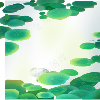 一片荷花叶在水面上