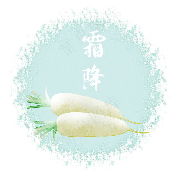 霜降丰收萝卜二十四节气