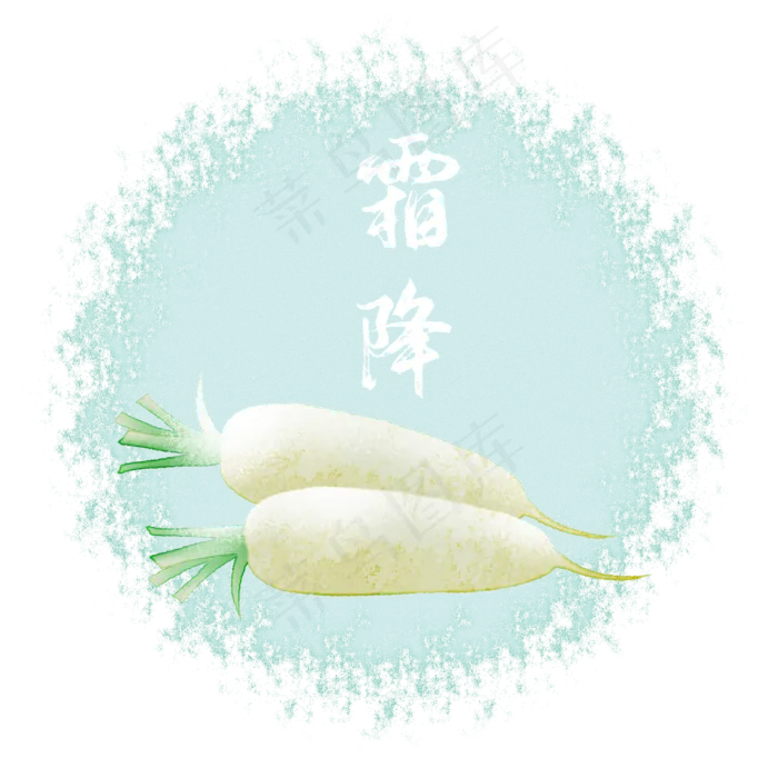 霜降丰收萝卜二十四节气(2000X2000(DPI:300))psd模版下载