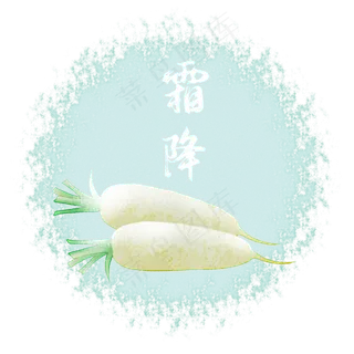 霜降丰收萝卜二十四节气