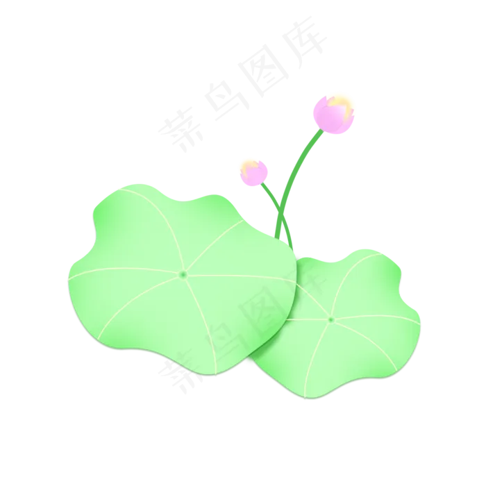 鲜绿色的荷叶荷花免抠图(2000X2000(DPI:300))psd模版下载