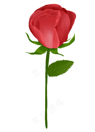 原创手绘玫瑰花