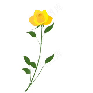 黄玫瑰