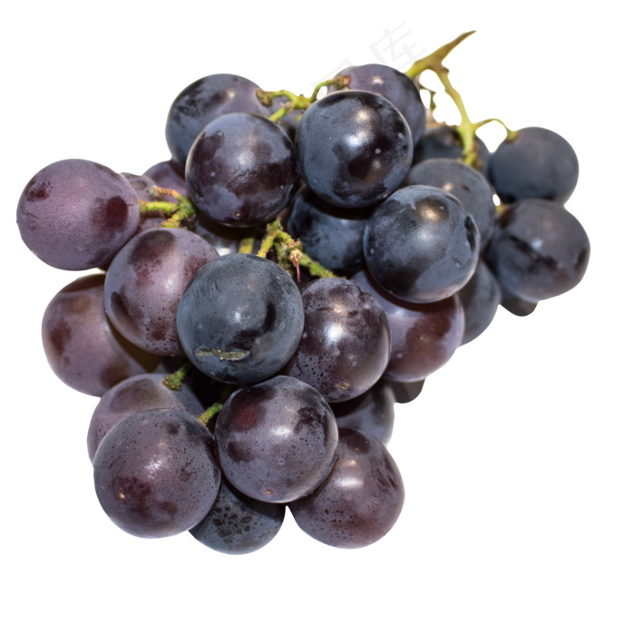 紫红色的葡萄