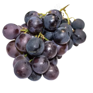紫红色的葡萄