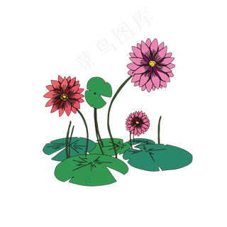 中国风手绘莲花荷叶荷花