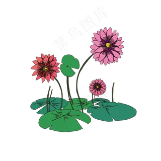 中国风手绘莲花荷叶荷花