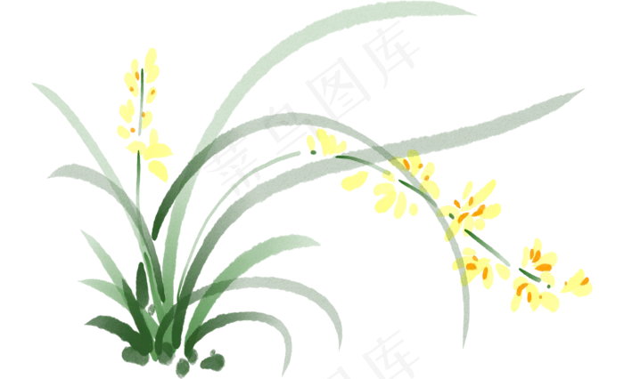 一株漂亮的兰花插图(2000X2000(DPI:300))psd模版下载