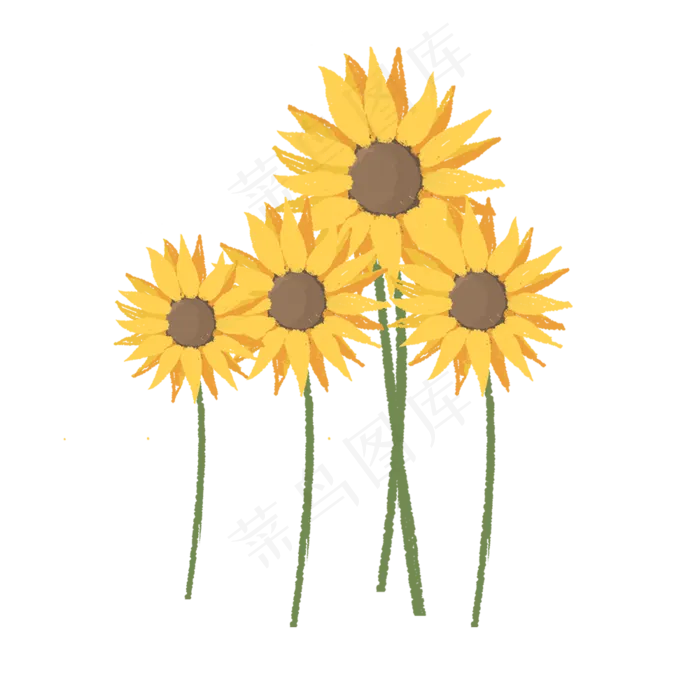 夏季黄色太阳花元素(1000X1000(DPI:300))psd模版下载