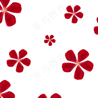 大红色玫瑰花瓣