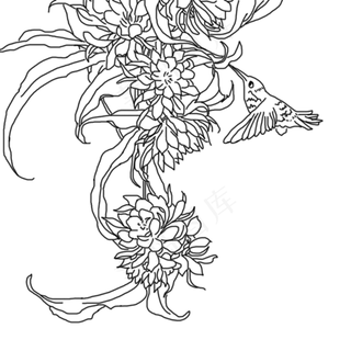 夏日花鸟线稿免抠