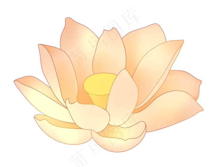 盛开的荷花花朵插图(2500X2000(DPI:299))psd模版下载