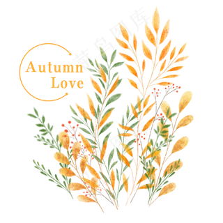 小清新秋季水彩植物