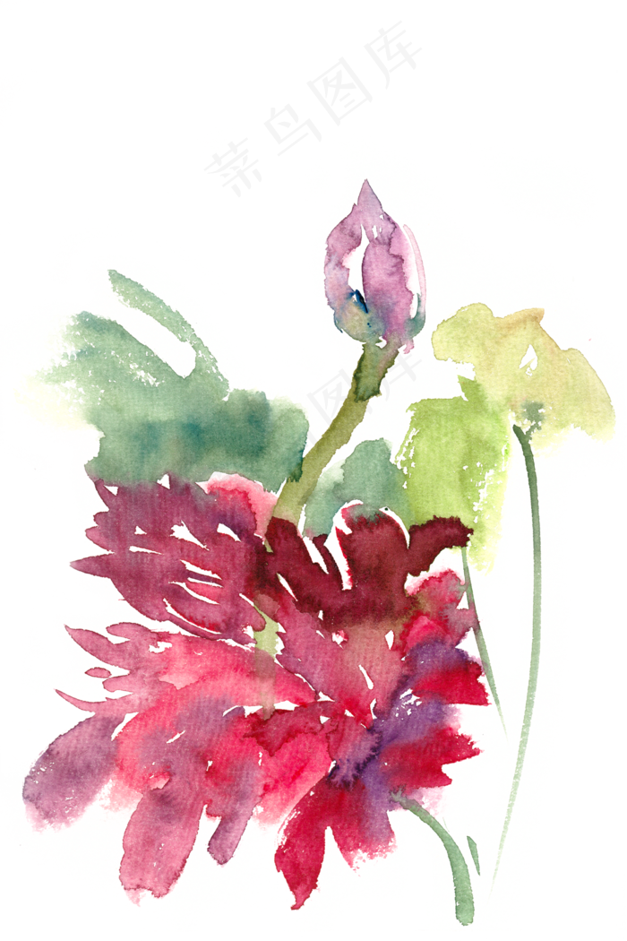 鲜艳的荷花水彩画PNG免抠素材