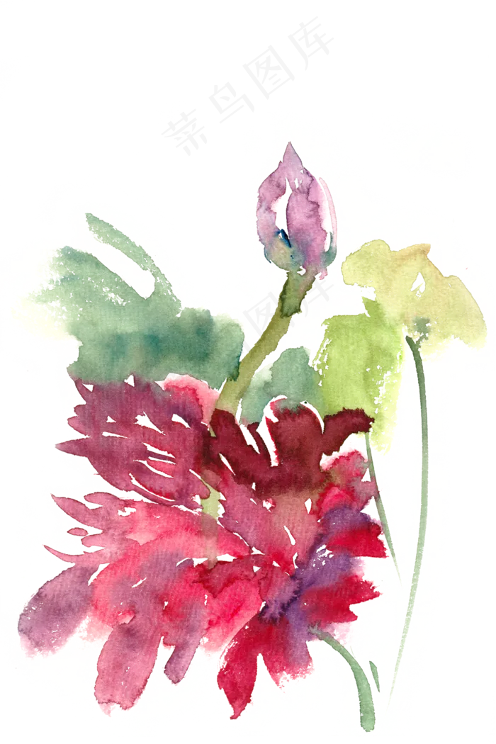 鲜艳的荷花水彩画PNG免抠素材(4724X7087(DPI:300))psd模版下载