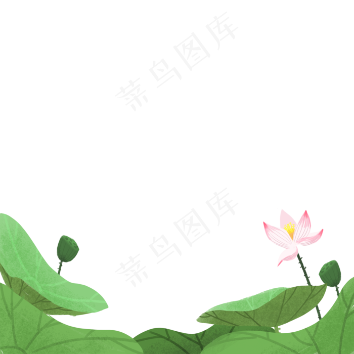 新鲜的荷叶和荷花免抠图(2000X2000(DPI:300))psd模版下载