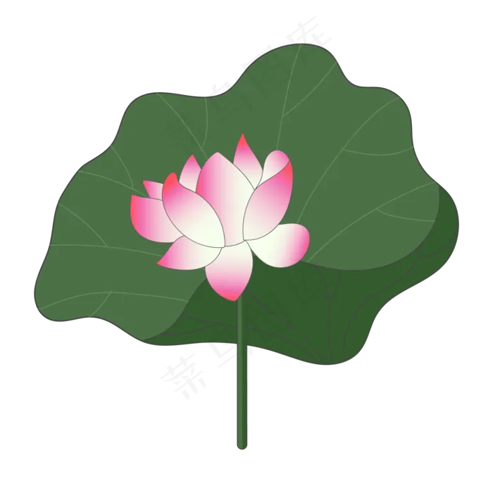 大大荷叶荷花(2000X2000)