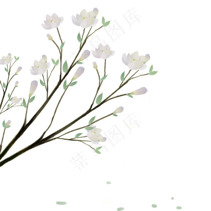 唯美手绘中国风玉兰花