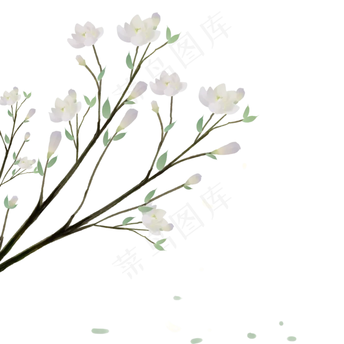 唯美手绘中国风玉兰花(2000X2000(DPI:72))psd模版下载