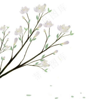 唯美手绘中国风玉兰花