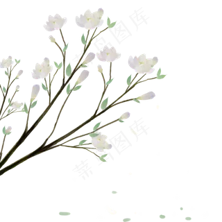 唯美手绘中国风玉兰花