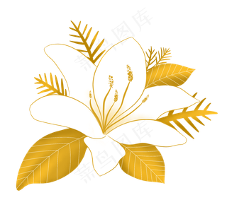 金色花金边百合花