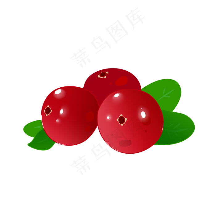 美洲水果蔓越莓免扣(3000X3000(DPI:299))psd模版下载
