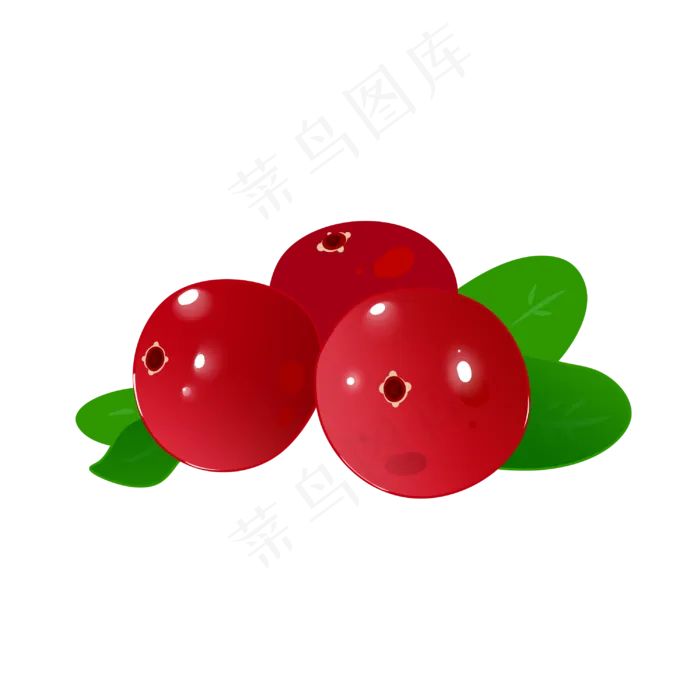 美洲水果蔓越莓免扣(3000X3000(DPI:299))psd模版下载