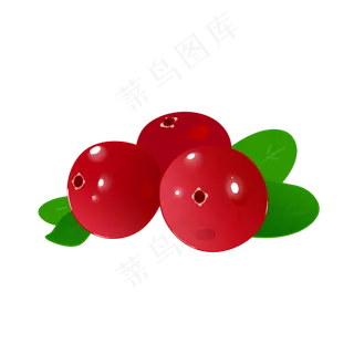 美洲水果蔓越莓免扣