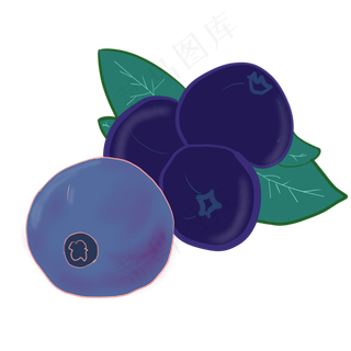 新鲜蓝莓水果插图