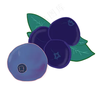 新鲜蓝莓水果插图