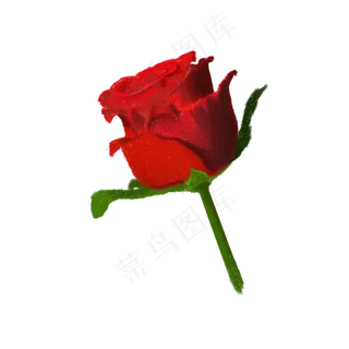 情人节玫瑰花枝 情人节玫瑰花枝