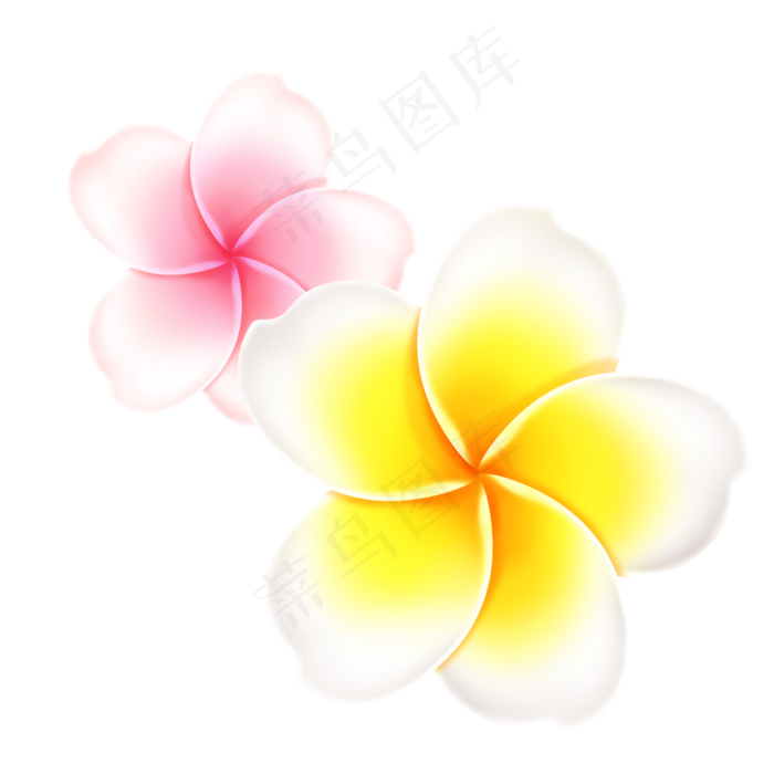 鸡蛋花朵元素(2000X2000(DPI:300))psd模版下载