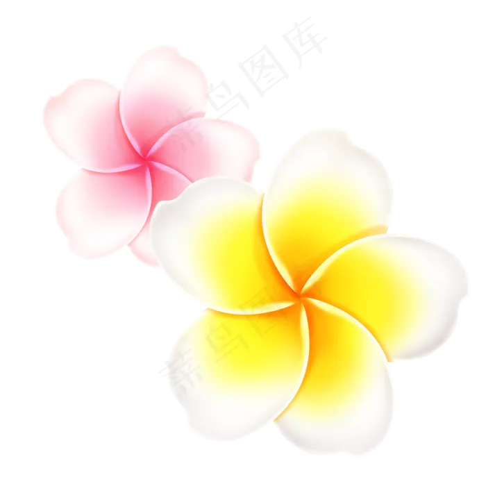 鸡蛋花朵元素(2000X2000(DPI:300))psd模版下载