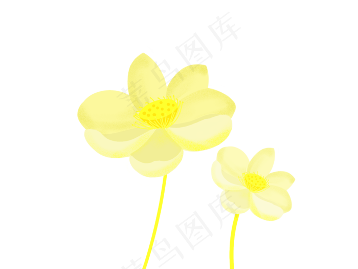 中国风柠檬黄荷花(2732X2048(DPI:132))psd模版下载