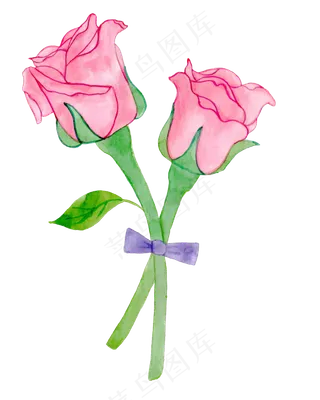 神秘红色玫瑰花