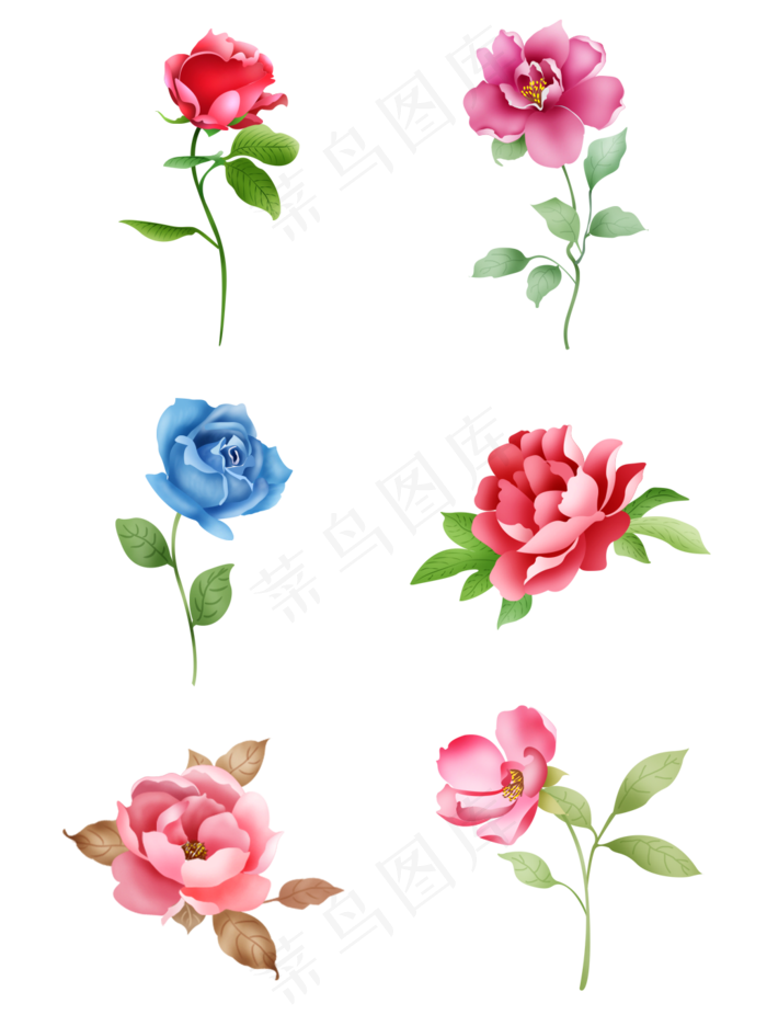 矢量手绘花卉套图元素