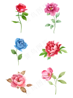 矢量手绘花卉套图元素