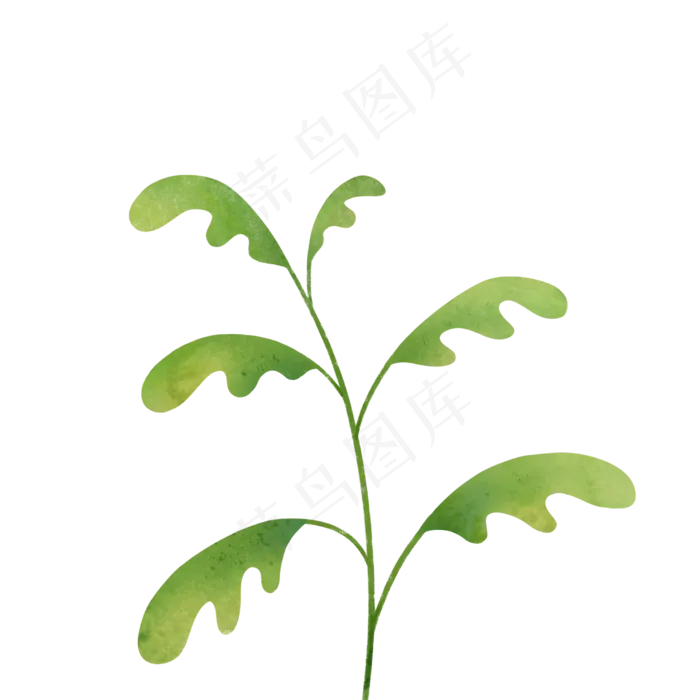 自然手绘绿色植物叶子(2480X2480(DPI:300))psd模版下载
