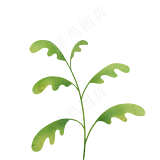 自然手绘绿色植物叶子