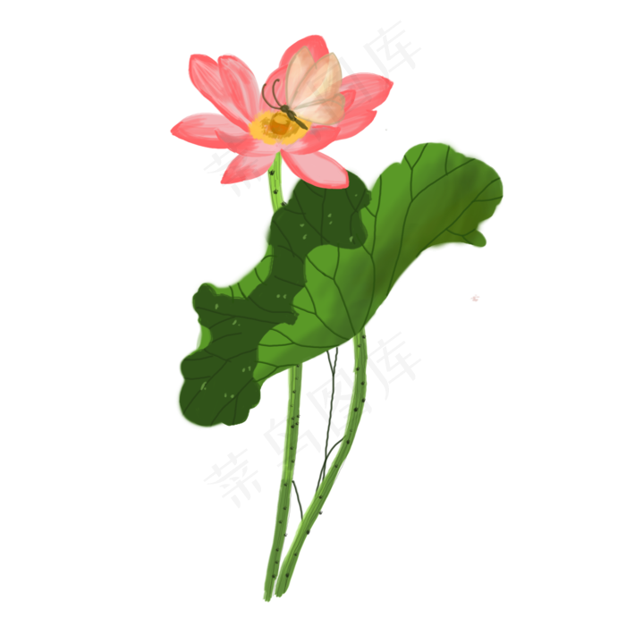 荷花荷叶png素材(2000X2000(DPI:300))psd模版下载