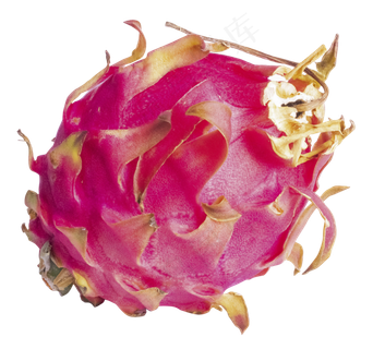 一个水果火龙果