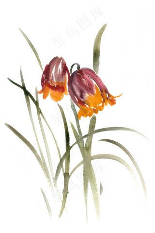 美丽的花卉水彩画PNG免抠素材