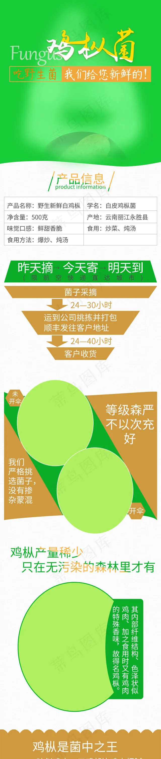 鸡枞菌食品移动端绿色清新新鲜产品详情页(640*3000px)psd模版下载