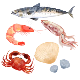 美食集合海鲜水彩素材