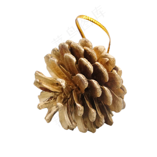 圣诞挂饰松子,免抠元素