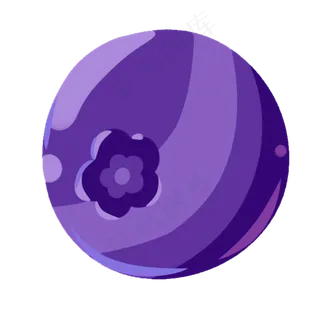 一个新鲜的蓝莓水果 一个新鲜的蓝莓水果